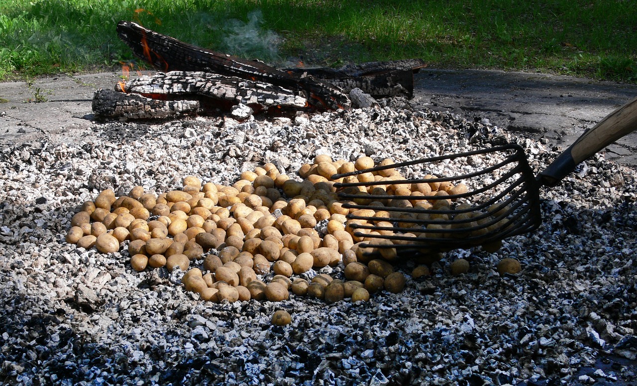 Symbolbild Kartoffelbraten.